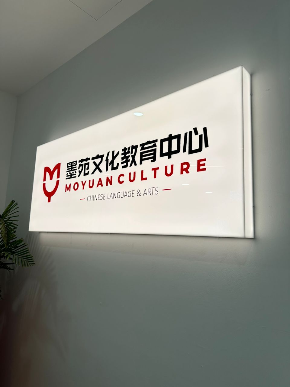 Acrylic wholelit lightbox installation in Holland Village Singapore